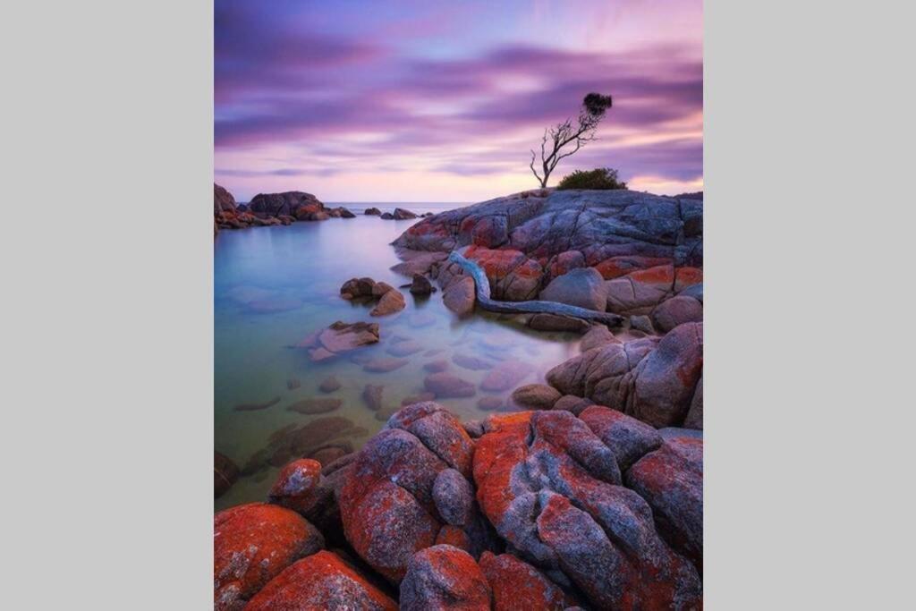 The Tin Shed Couples Accommodation At Bay Of Fires Binalong Bay Buitenkant foto