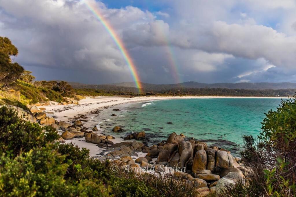 The Tin Shed Couples Accommodation At Bay Of Fires Binalong Bay Buitenkant foto